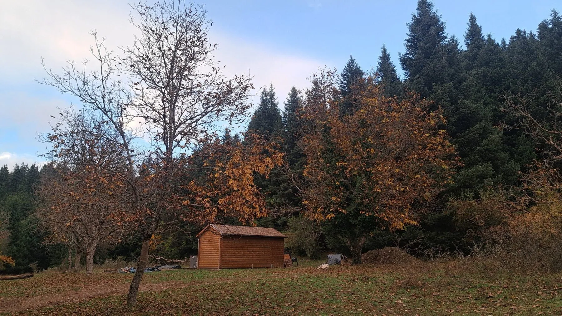The Small Cabin